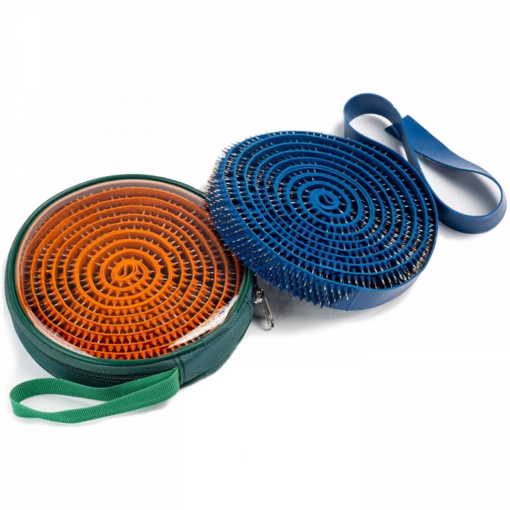 Benzi Lyapko X2 MICA