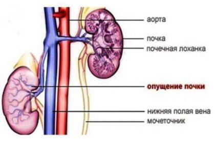 Prin acest curs excepțional, vei dobândi abilitățile de a: