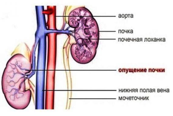 Prin acest curs excepțional, vei dobândi abilitățile de a: