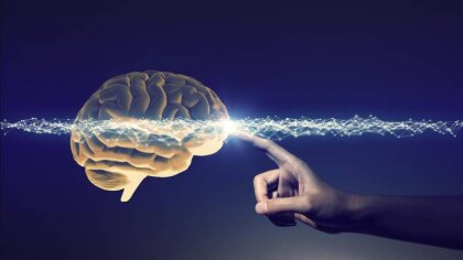 Ce vei explora în cadrul cursului?