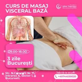 Modul 4: Curs de Masaj Visceral baza